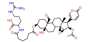 3-(N-Adipoyl argininyl)-19-oxocinobufotalin